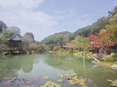 -云溪植物园