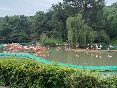 -宁波野生动物园