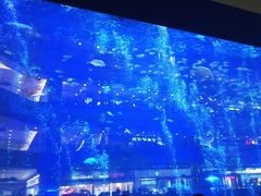 -成都浩海立方海洋公园