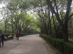 -森林公园(尖草坪区)