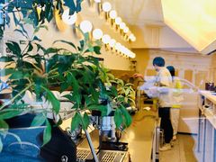 -村口大树(长乐路店)