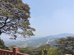 -黄埔油麻山森林公园