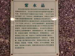 -新大宗饭店
