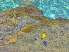 -新加坡水上探险乐园