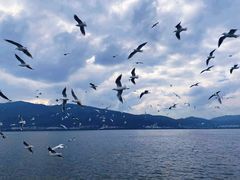 -海埂大坝