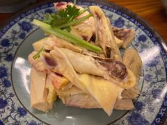 -九斤黄三黄鸡专卖店