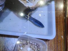 -十八字金·银饰·开蚌DIY·手工体验团建(富力广场店)