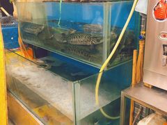 水产区-小唐小四川水煮鱼(北三路店)