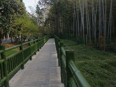 -大蜀山国家森林公园