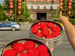 -老东阳·外婆菜(横店店)