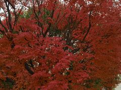 -外滩8号 whisky bar(金延大厦店)