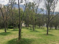-牛岗山公园