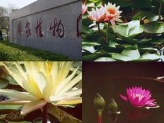 -国家植物园南园