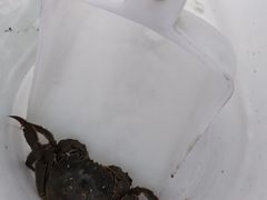 -阳澄湖半岛旅游度假区