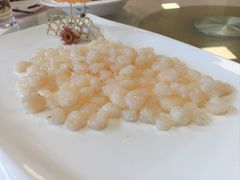-中国饭店-餐厅