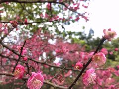 -重庆彩云湖湿地公园
