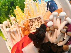 菌蔬拼盘-享月汤皇·海鲜小火锅·聚会(曲江创意谷店)