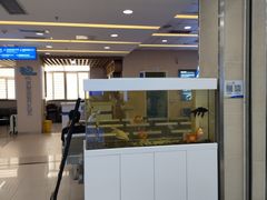 -武汉大学附属爱尔眼科医院(湖北总院)