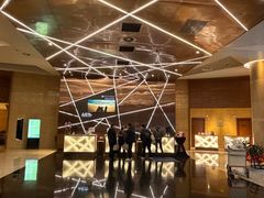 -南京禄口机场雅高铂尔曼大酒店