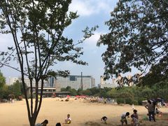-青枫公园