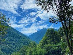 -大奇山国家森林公园