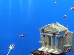 -海合安武汉极地海洋公园