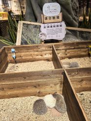 -酷嗒动物文化乐园(cutezoo西溪乐天城店)