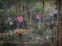 -梦幻奥陶纪景区
