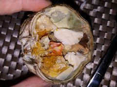 -339旋转餐厅(天府熊猫塔店)