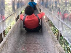 -牛鱼嘴原始生态风景区