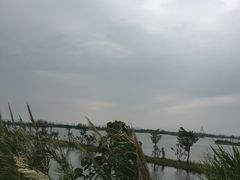-芒洲湿地公园