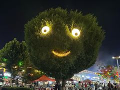 -特克斯八卦城