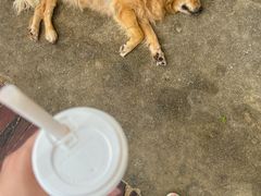 -亚龙湾亚泰商业街