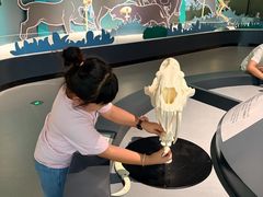 -厦门诚毅自然探索馆