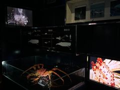 -同济大学四平路校区深海探索馆