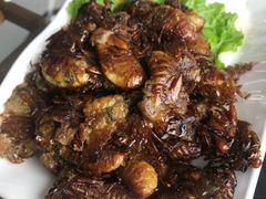 金蝉-古萧汪家羊肉馆(淮北四马路店)