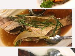 -Isla Sugbu Seafood City