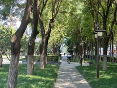 -木塔寺遗址生态公园
