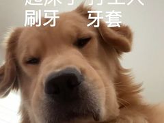 -泰康拜博口腔医院(江北总院)