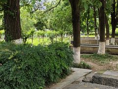 -沙河三洞古桥公园