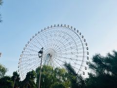-万泉公园
