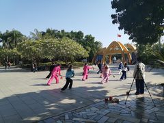 -金花茶公园