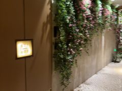 -浅深(北京北四环精品店)