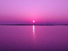 android_upload_pic-合肥滨湖国家森林公园