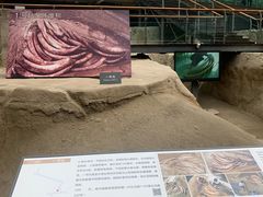 -金沙遗址博物馆