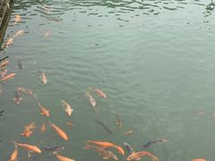 -千龙湖生态旅游度假区