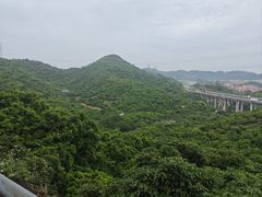 -大屏嶂森林公园