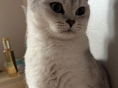 -贝康宠物医院·犬猫全科·小动物特色诊疗中心(东环路店)