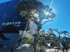 -罗红摄影艺术馆