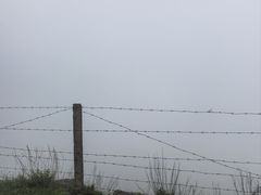 -灵山